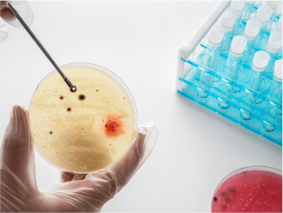 Pruebas Microbiológicas con Filtración por Membrana: Precisión, Rapidez y Fiabilidad para el Control de Calidad